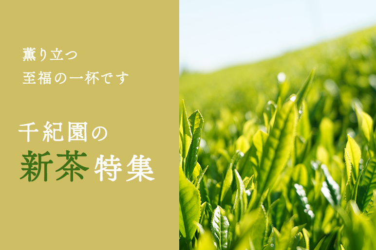 2025千紀園の新茶特集