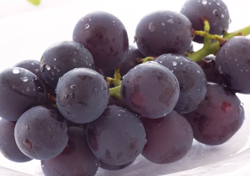 バランスのとれた甘みと酸味、芳醇な香りアイスキャンデー