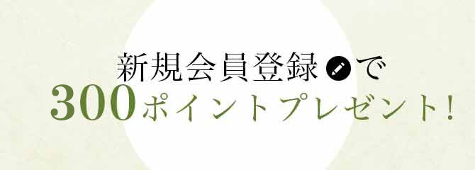 新規会員登録300ポイント